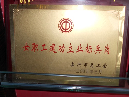 C:\Users\Administrator\Desktop\2005年\女職工建功立業(yè)標(biāo)兵榜\獎牌 - 副本.JPG